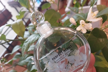 아로마테라피, 생활 속 향기 교육으로 확장되다