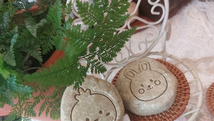 제로웨이스트 환경강사로 활동하기 위한 필수 자격 요건은?