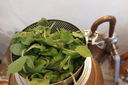 실무 중심 아로마테라피 교육, 아로마테라피 전문강사 자격증 과정 주목